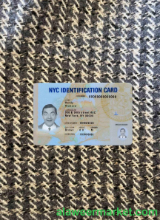 USA New York ID photolook FRONT